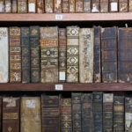 Managing Your Digital Library