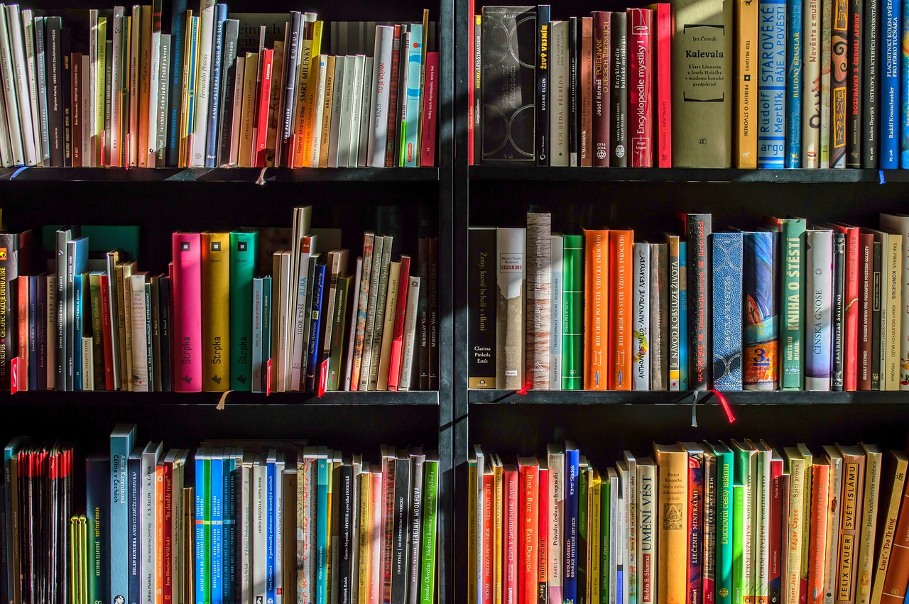 Two bookcases side by side showing three shelves of books with multi-colored spines