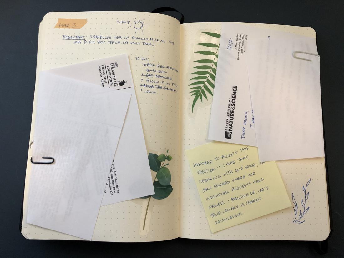 Field Guide To Memory journal Page (letters)