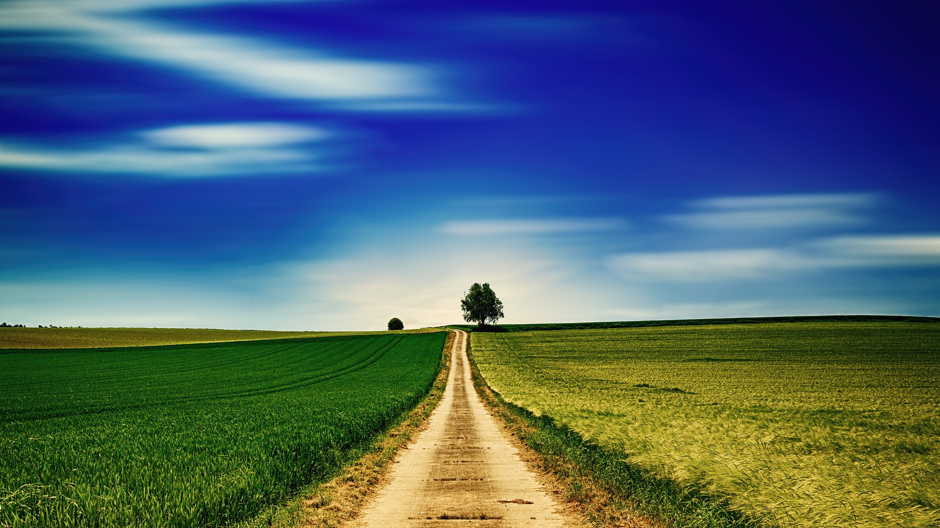 A country road extending to the horizon, flanked by a wide field of grass on both sides, a large blue sky overhead.