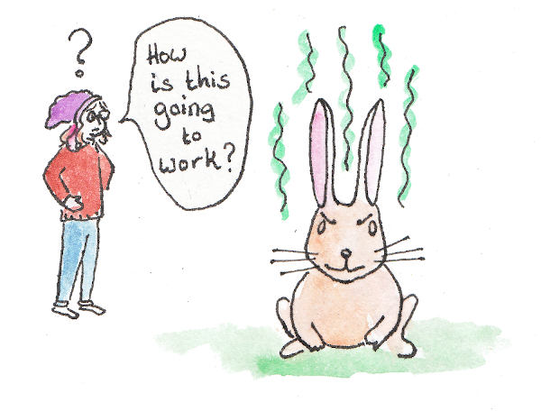 A person looking at a grumpy rabbit with stink lines. The person is saying "How is this going to work"